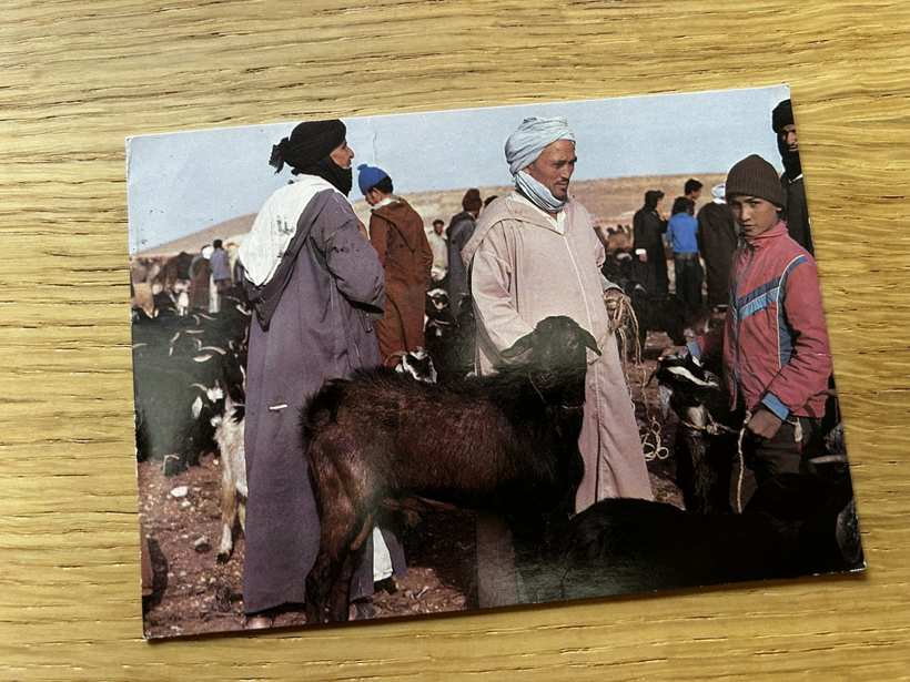 Carte postale : un marché aux bêtes, hommes en gandoura et chèche.