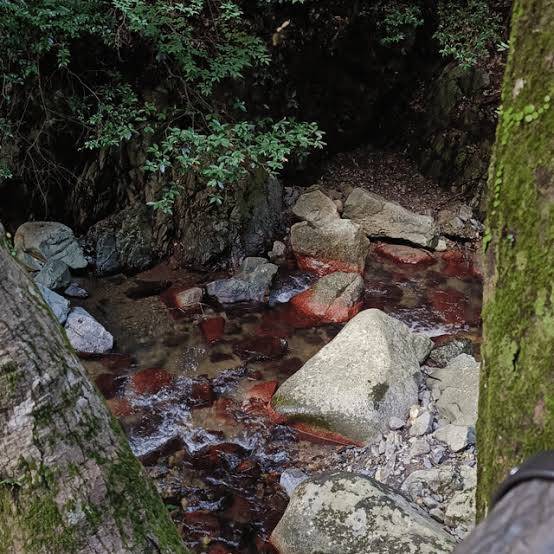 Des rochers dans un ruisseau, entre les arbres.