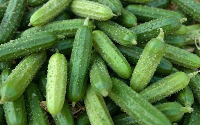 Des cornichons en tas.