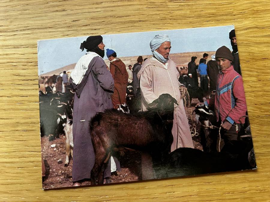 Carte postale : un marché aux bêtes, hommes en gandoura et chèche.