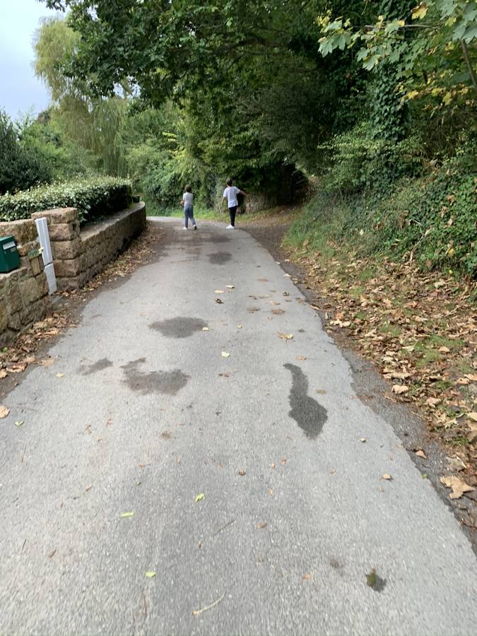 Une petite route sous les arbres ; deux enfants au loin.